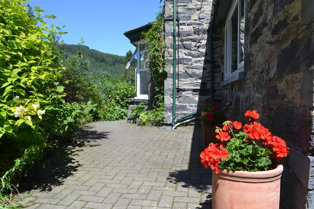 Bed and breakfast Coed-y-fron Betws-y-Coed